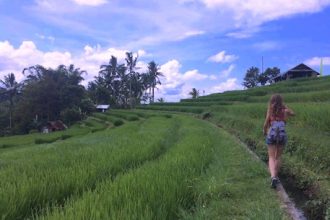 walking through the Jatiluwih rice terrace in my travel to Bali