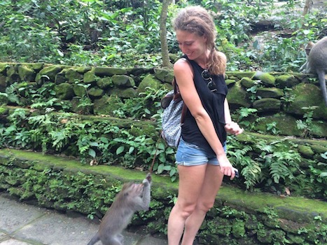 a monkey stealing my bag at the Ubud Sacred Monkey Forest