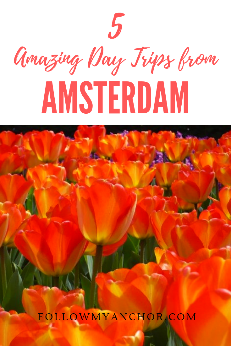 DAY TRIPS FROM AMSTERDAM